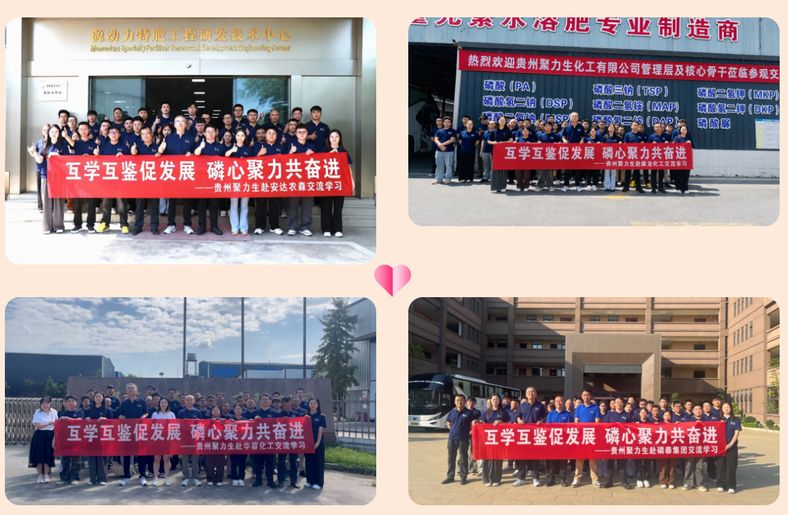 d4c1b260-f13c-47b8-b1d2-433a16089e17.png